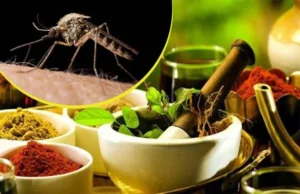 Natural Biopesticides